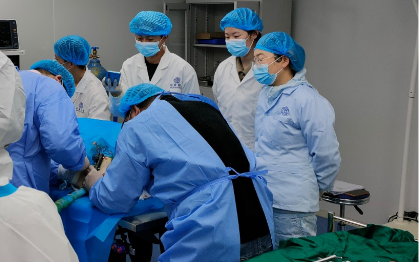 与您偕行 | 必赢网络游戏平台质检乐成助力大博医疗「金属骨针」获批上市