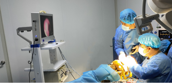 与您偕行 | 必赢网络游戏平台质检乐成助力诺一迈尔“鼻腔填充海绵”获批上市