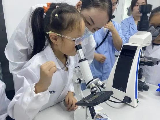 产品聚焦 | 蹲下来，，眯起眼睛，，一起视察「桃子上的微观部落」